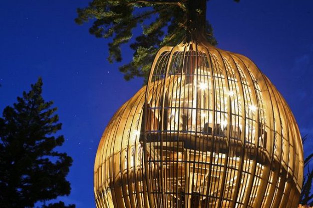 Ресторан на дереве в Новой-Зеландии