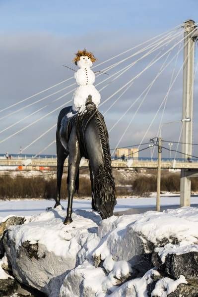 ��������