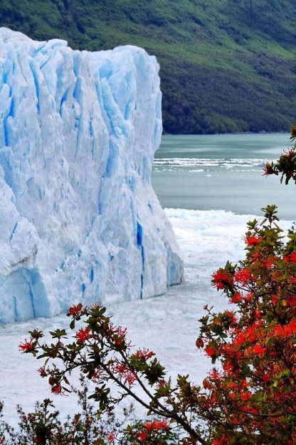 Айсберги у берегов Патагонии. Аргентина