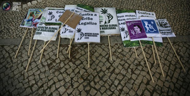 Марши за легализацию марихуаны в разных странах мира