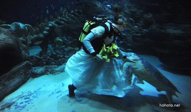 Подводная свадьба