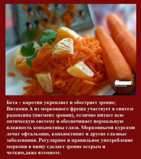 Интересные факты о морковке
