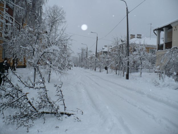 Киевский снегопад 29.12