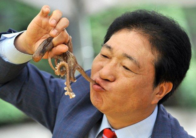 Южнокорейские гурманы насладились живыми осьминогами...