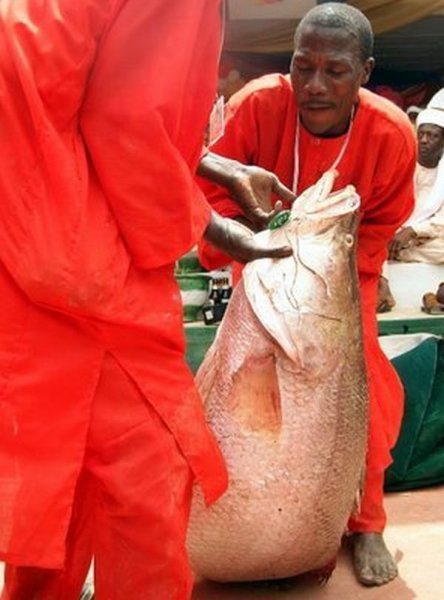 Рыбалка в Нигерии