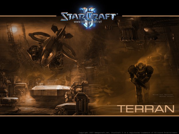 StarCraft 2 (3)