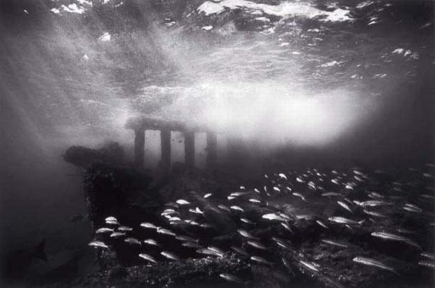 Черно-белые подводные фото