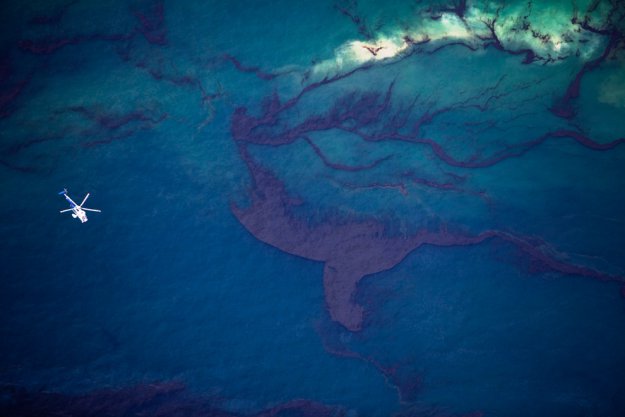 Нефть достигла берегов Луизианы. Часть 2