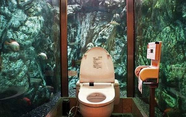 Самые необычные туалеты мира