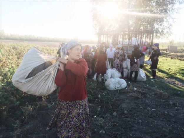 В Узбекистане за съемку сбора хлопка задержали фотографа