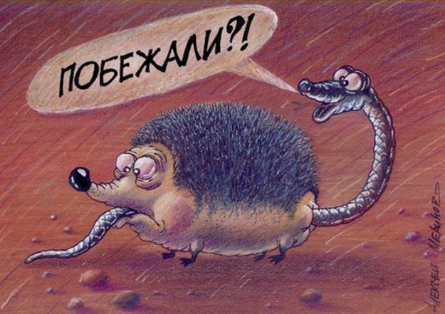 Карикатуры художника Алексея Меринова