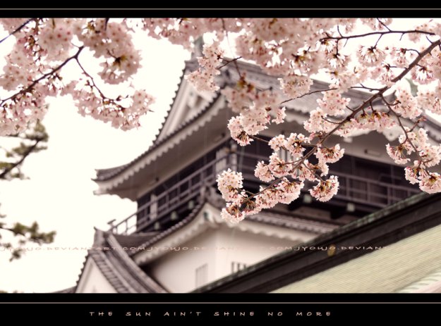 Dreams about Sakura.  jyoujo