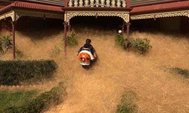 Австралийский город Вангаратта засыпан толстый слой сухой травы