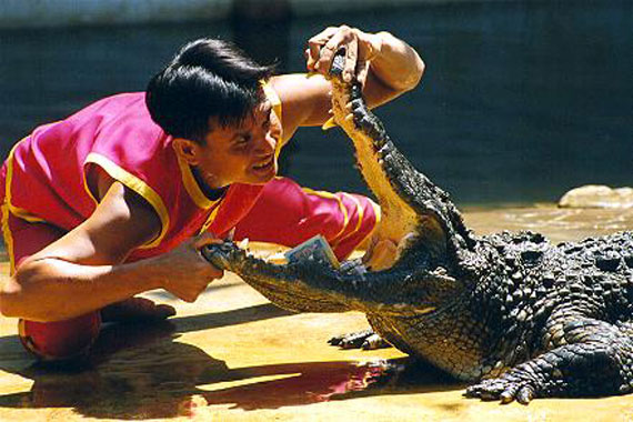 Люди и крокодилы
