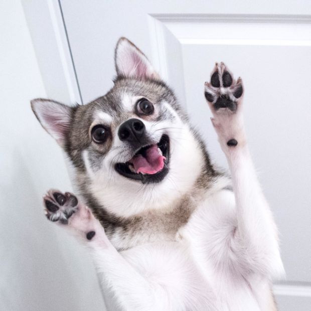 ��������