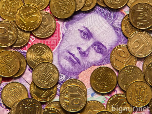 Фактический размер прожиточного минимума применяется для наблюдения за динамикой уровня жизни в Украине