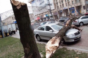Мошенники из автосалона продали женщине битую машину как новую Мошенники из автосалона продали женщине битую машину как новую
