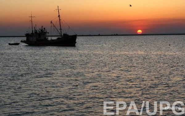 На побережье Азовского моря шторм вынес тонны водорослей: потемнела вода