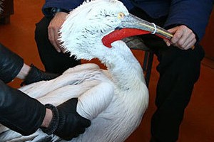 �������� ���������� � ������� ������� � ����� � ������������
