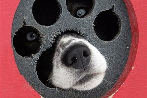 � ����� �������� ���������� ��������� �������������� ��������� ��������