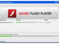 Установка Adobe Flash Player: пошаговая инструкция