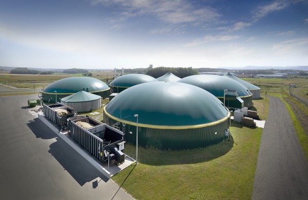 Биогазовый завод в украине Биогазовый завод в украине
