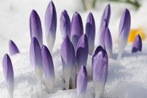 ����� ��������� � 15 ����� - �������������