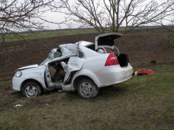 Погода завтра щучине