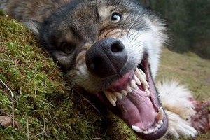 ������� �������� ���� ���������� � ���� ������� �����