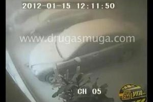 ����������� ������� ������� ���������