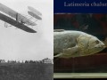 День в истории: Доисторическая рыба и производство аэропланов