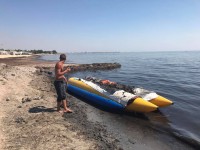 Оккупанты не справляются с тоннами водорослей на крымских пляжах