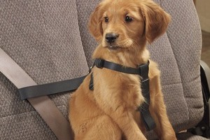 ������� ������� �� ������� � ������ �� �������