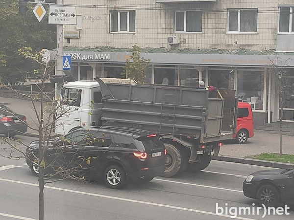 Чего только не встретишь на наших дорогах