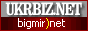 bigmir)net TOP 100