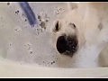 ������, ������� ����� ����� ��������� �����