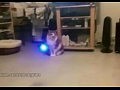 ��� ������ ���������