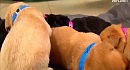 ������ - ����� ��������� ���������