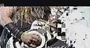 Black Label Society - Counterfeit God