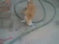 ��� � ���������