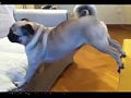 �����