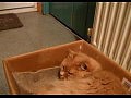 ����� ��� ������� � ����� ������ (2 �����)