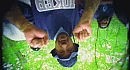 cypress hill