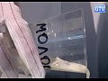 ������ � ������ ���� - ������ �� ������
