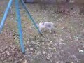 ������ ������� ���������� �������