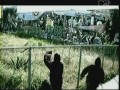 Black Eyed Peas, The - Where Is The Love