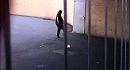 ��������� ���������� ���� ���������� ����������
