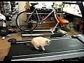 ������ �� ������� �������� - ����