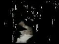 FRIDA ABBA - I Know There s Something Going On quot promo