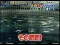 Японское ТВшоу - рисунки на волнах